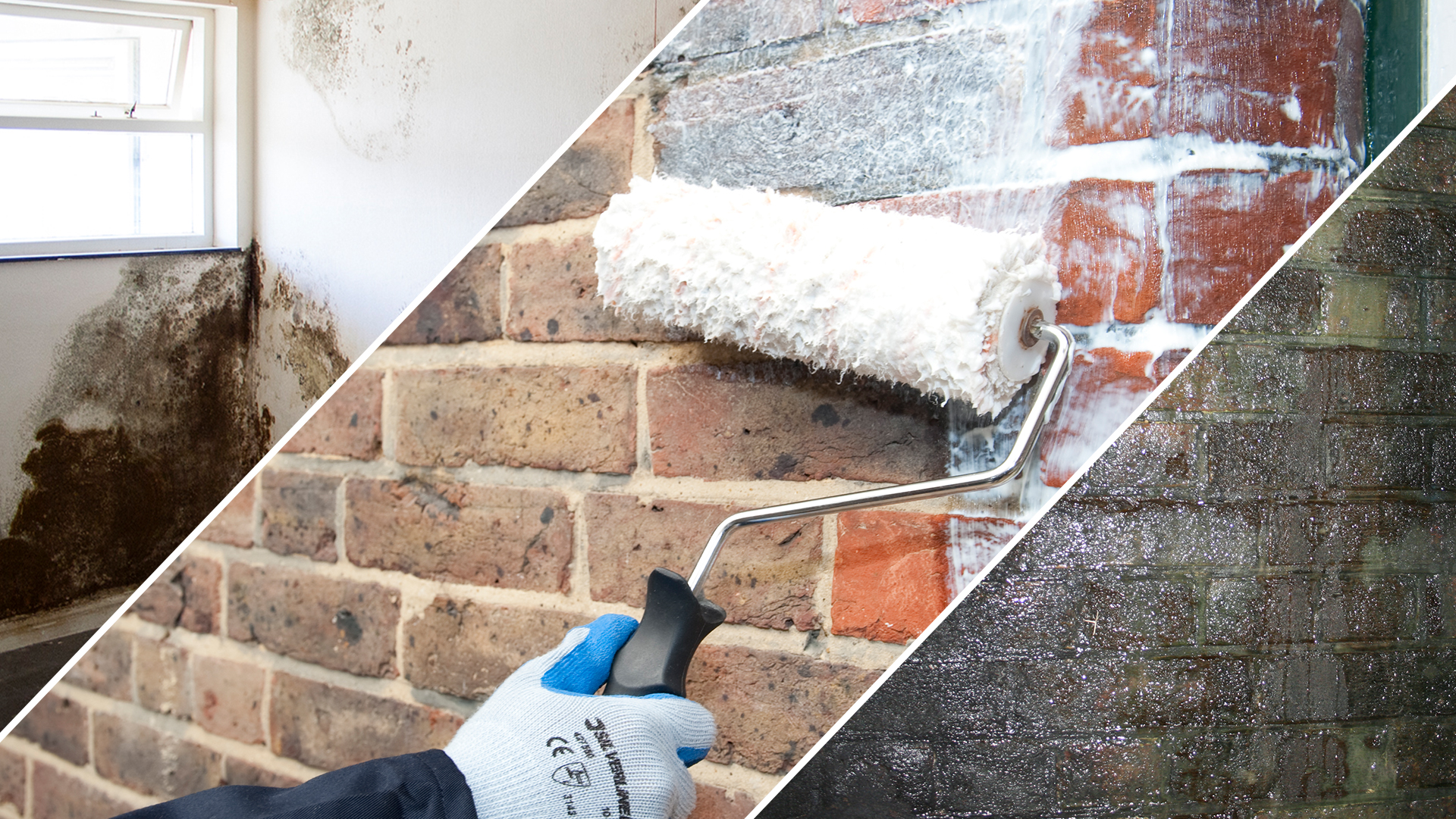 penetrating-damp-webinar-background penetrating damp in lake-district